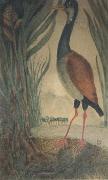 Henri Rousseau Wader oil painting reproduction